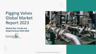 Pigging Valves Market Growth And Overview Report 2023-2032