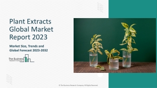 Plant Extracts Market Key Drivers, Overview 2023-2032