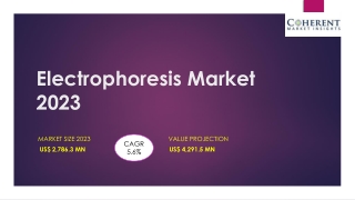 Electrophoresis Market to See Huge Growth by 2030