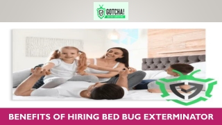 Benefits Of Hiring Bed Bug Exterminator