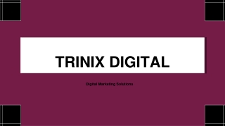 Digital Marketing Service Agency in Malappuram