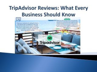 TripAdvisor Reviews - What Every Business Should Know