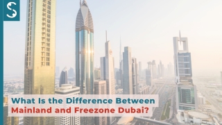 Difference Between Mainland and Freezone Dubai