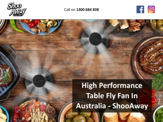 High Performance Table Fly Fan In Australia – ShooAway