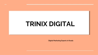 Best Digital Marketing Agency in Kerala