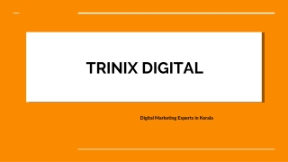 Best Digital Marketing Agency in Calicut