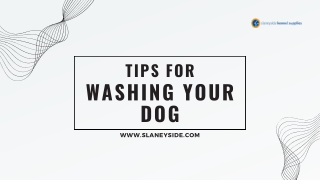 Tips For Washing Your Dog - Slaneyside Kennels
