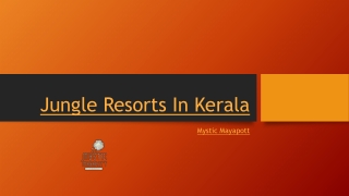 Jungle Resorts In Kerala