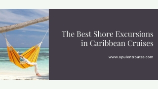 The Best Shore Excursions in Caribbean Cruises