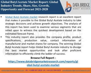 Butyl Acetate Market-Chemical Material