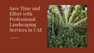 Save Time and Effort with Professional Landscaping Services in UAE