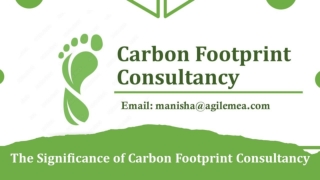 The Significance of Carbon Footprint Consultancy