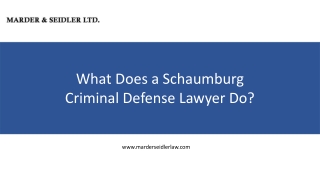 What Does a Schaumburg  Criminal Defense Lawyer Do?