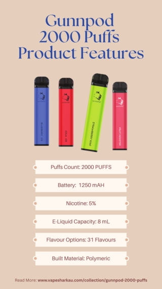 Gunnpod 2000 Puffs Product Features [Infographic]