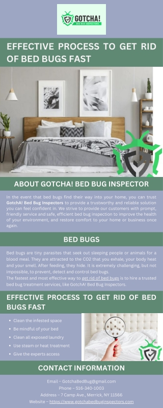 Effective Process to Get Rid of Bed Bugs Fast