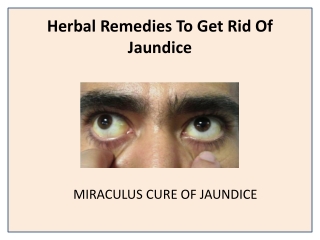 Top Notch Jaundice Pain Relief Herbal Medicines