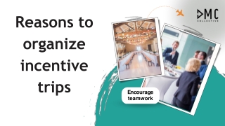 Incentive Travel Programs