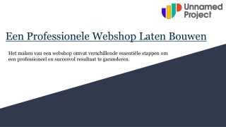 Een professionele webshop laten bouwen