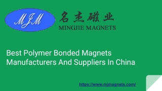 Top Quality Polymer-Bonded Magnets Produced by MJ Magnets in China