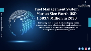 Fuel Performance Additives Market Trends, Status and 2030 Forecasts
