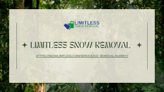 Affordable Snow Removal Services In Surrey