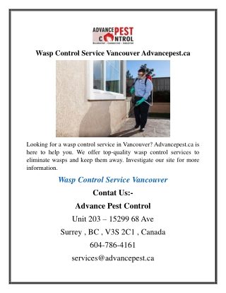 Wasp Control Service Vancouver Advancepest.ca