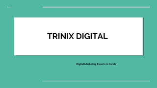 Leading Digital Marketing Companies in Kerala