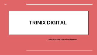 Digital Marketing Agencies in Malappuram - Edappal