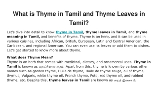 What is Thyme in Tamil and Thyme Leaves in Tamil_