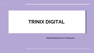 Top Digital Marketing in Edappal - Trinix Digital