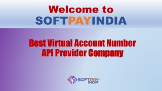 Get Best Virtual Account Number API at affordable price
