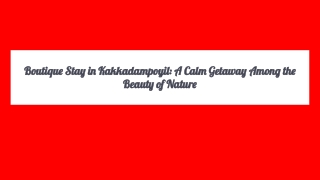 Boutique Stay in Kakkadampoyil_ A Calm Getaway Among the Beauty of Nature