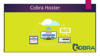 Unleashing the Power of Fastest Web Hosting for Beginners — Cobra Hoster