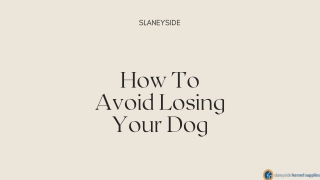 How To Avoid Losing Your Dog - Slaneyside Kennels