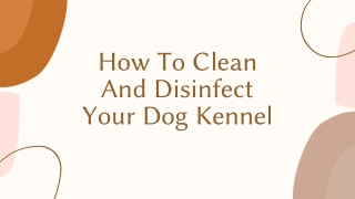 How To Clean And Disinfect Your Dog Kennel - Slaneyside Kennels