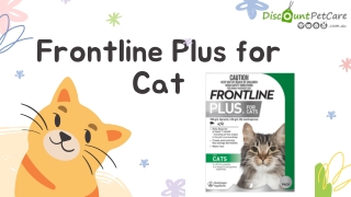 Frontline Plus for Cats | Frontline Plus Flea Treatment for Cats