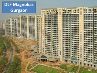 Apartments on Sale in Gurugram | DLF Magnolias on Sale in Gurgaon