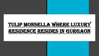 Tulip Monsella Where Luxury Residence Resides in Gurgaon