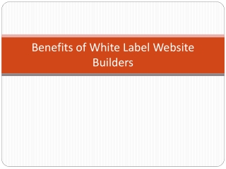 Benefits of White Label Website Builders
