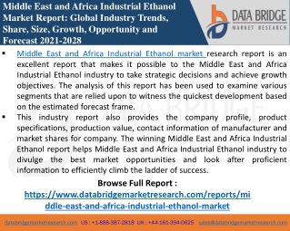 Middle East and Africa Industrial Ethanol Market-Chemical Material