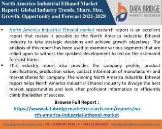 North America Industrial Ethanol Market-Chemical Material