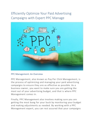 Efficiently Optimize Your Paid Advertising Campaigns with Expert PPC Manage