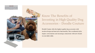 Know The Benefits of Investing in High Quality Dog Accessories - Doodle Couture