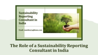 The Role of a Sustainability Reporting Consultant in India