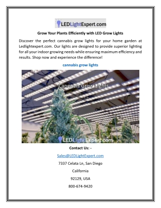 Grow Your Plants Efficiently with LED Grow Lights