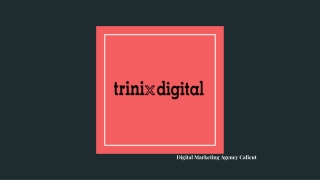 Best Digital Marketing Agency in Calicut