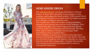 semi sheer dress