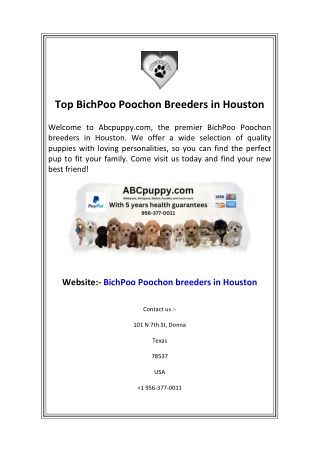 Top BichPoo Poochon Breeders in Houston