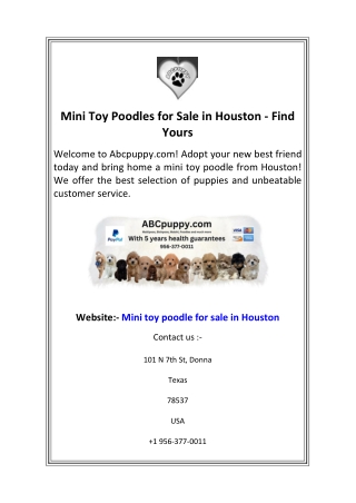 Mini Toy Poodles for Sale in Houston Find Yours