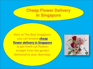 Cheap Flower Delivery in Singapore
